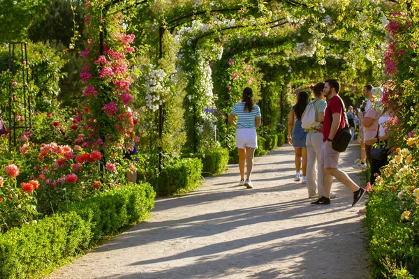 Madrid Spain July 2022 People Walk Botanical Garden Blooming Rose —  Fotos de Stock
