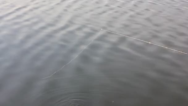 Fishing Rod Fishing Line Going Water Catching Fish Reservoir River — Stock videók