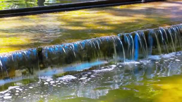 Artificial Waterfall Rapids Water Flowing Downstream Spring Summer Nature Reserve — Stockvideo