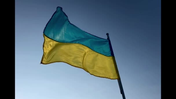 Bandera Amarillo Azul Ucrania Ondeando Viento Contra Cielo Azul Símbolo — Vídeo de stock