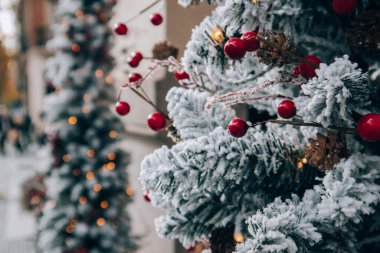 Karlı çam ağacı, parıldayan çelenk ışıkları, kırmızı böğürtlen, yeşil ladin dalları soyut tatil geçmişi. 2023 yılının seçici odak noktası. Şehir sokak sahnesi. Yeni yıl ağaç süslemeleri arka plan.