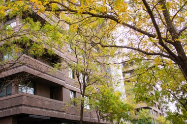 Madrid, İspanya. 24 Kasım 2022. Yeşil bölgede, yüksek sonbahar sarı ağaçları arasında, modern bir yerleşim yerinin köşesi. Kentsel bölgede kahverengi bir apartman dairesi. Rahat bir yerleşim yeri..