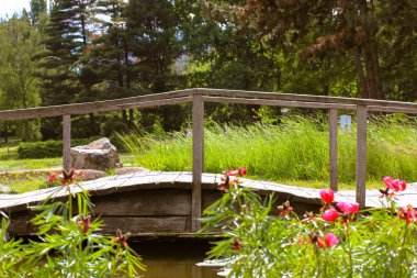 Güzel, ahşap dekoratif bir köprü, güneşli bir günde baharda ya da yaz bahçesinde bir göl göleti üzerinde yaya köprüsü. Resmedilmeye değer doğal manzara. Pembe kırmızı çiçekler, uzun yeşil otlar, kozalaklar..