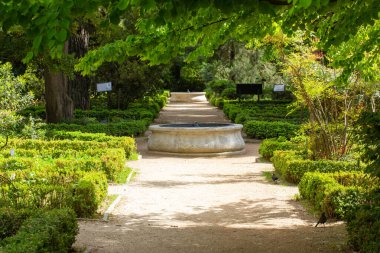 Madrid, İspanya. 9 Mayıs 2022. İnsanlar bahar günü çiçek açan iris çiçekleri, yeşil tropik ağaçlar ve palmiye ağaçları arasında Kraliyet Botanik Bahçeleri 'nde yürürler. Şehir parkının derinliklerine giden düz bir yol var..