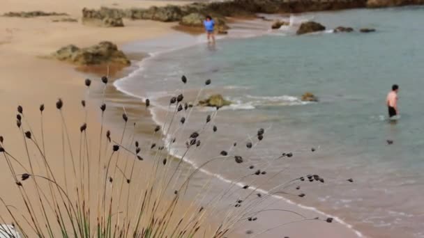 Unrecognizable People Stroll Sandy Shore Mediterranean Sea Summer Dry Grass — Stock videók