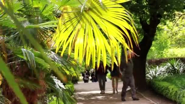 Madrid Spain May 2022 People Stroll Slowly Botanical Garden Park — Stock Video