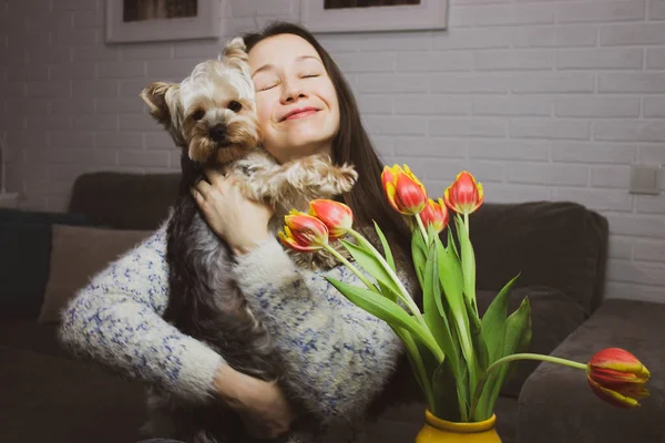 A young beautiful happy woman cuddling beloved little dog Yorkshire Terrier in a cozy home. A purebred brown puppy pup, a gift for a girl. Sincere emotions of happiness. Orange yellow tulips indoors.