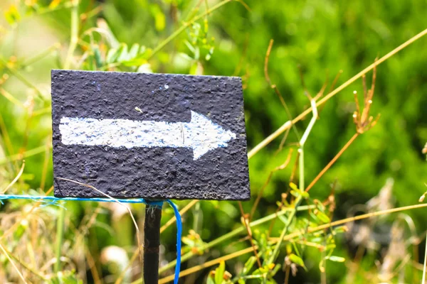 Black sign with a white direction arrow pointing a way, right road in a botanical garden at sunny day in spring, summer, autumn season. Natural green background. Waymarker painted on a wooden backdrop