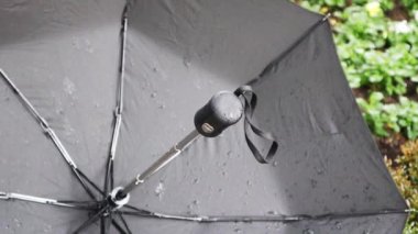 Siyah ıslak şemsiye, içeriden küçük su damlacıkları, şemsiye telleri. Kötü hava tahmini, sonbahar veya bahar mevsimi fırtınası. Yağmurlu bir günde su geçirmez malzemeden korunmak için suç ortağı