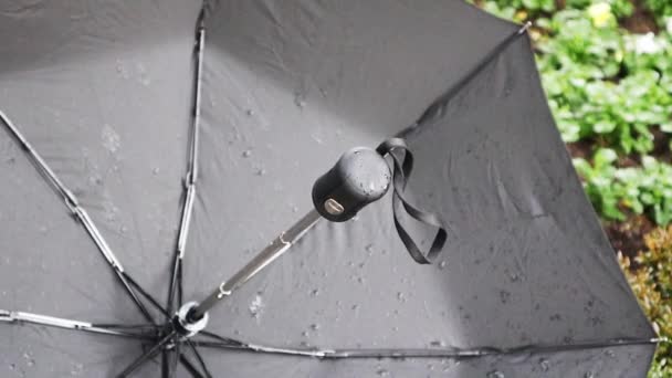 Zwarte Natte Paraplu Met Kleine Waterdruppels Van Binnenuit Parapluspaken Weersverwachting — Stockvideo