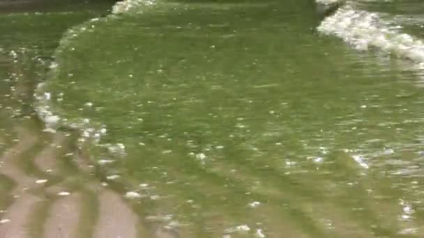 Водорості Піщаному Пляжі Березі Річки Вода Цвіте Влітку Забруднення Брудної — стокове відео