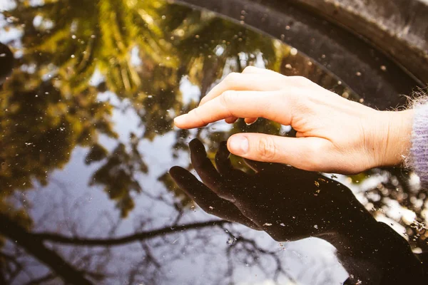 A woman\'s hand reaches out and touches the calm water on a surface of which reflects the nature of a park, garden in spring or summer sunny day. Connecting with nature, ecology concept. Tender touch.