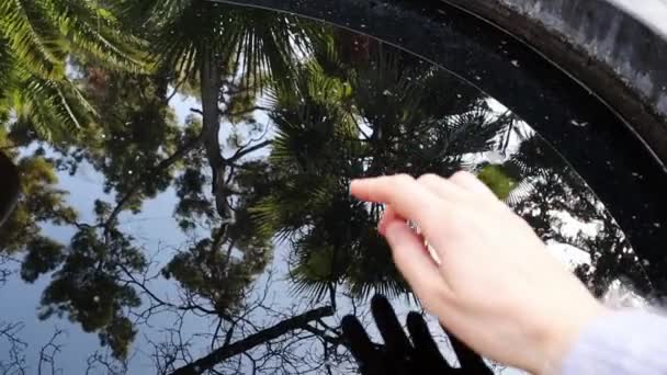 Χέρι Μιας Γυναίκας Απλώνεται Και Αγγίζει Ήρεμο Νερό Μια Επιφάνεια — Αρχείο Βίντεο