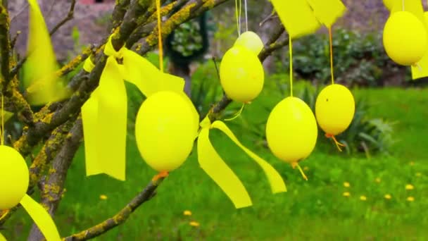 通りのイースターの装飾 春の庭の果樹園の木の枝にぶら下がっている黄色のイースターエッグ 春の宗教的な休日のビデオ背景 緑の芝生に花を咲かせます ソフトフォーカス — ストック動画