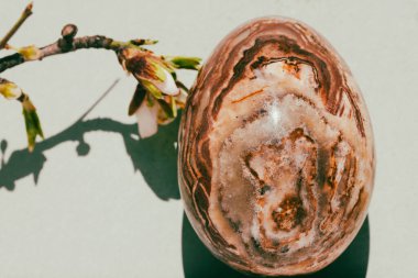 Yeşil zemin üzerinde doğal kahverengi taş desenli Paskalya yumurtası çiçek açan ağaç dallarıyla dolu bahar ayları. Klasik, otantik Paskalya bayramı fotoğrafı. İlkbahar tatili.