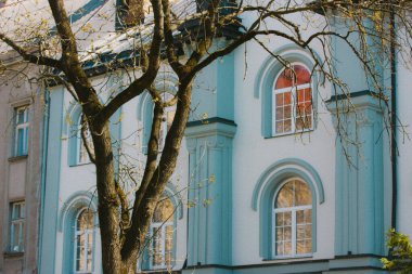 Uzhgorod Ukrayna. 2 Nisan 2022. Eski bir tarihi bina, yarı dairesel pencereli mavi bina cephesi restore edildi. Sonbahar ya da bahar günlerinde yapraksız ağaç gövdesi. Güzel mimari.
