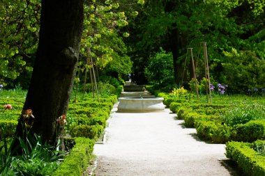 Straight path, ground road for walks in botanical garden in spring or summer day. Trimmed green bushes, deciduous trees, landscaping. People walking in nature among blossoming flowers. Selective focus