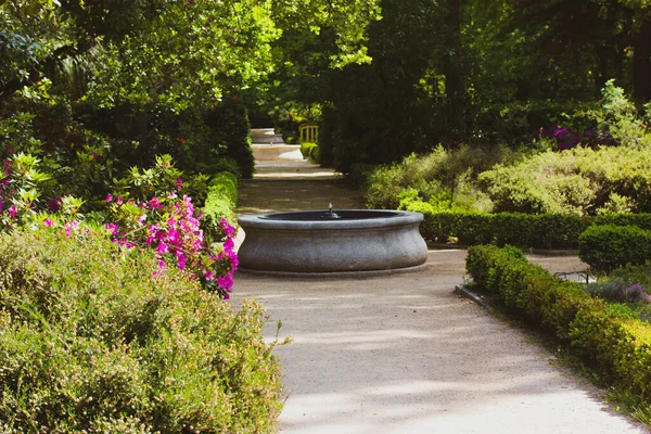 Egyenes Földút Sétálni Botanikus Kertben Tavasszal Vagy Nyáron Nap Nyírt — Stock Fotó
