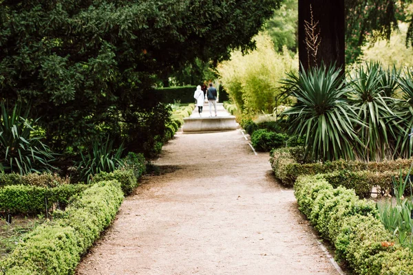 Straight path, ground road for walks in botanical garden in spring or summer day. Trimmed green bushes, deciduous trees, landscaping. People walking in nature among lush green palms. Selective focus