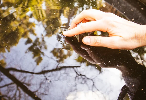 Ένα Γυναικείο Χέρι Απλώνεται Και Αγγίζει Ήρεμο Νερό Μια Επιφάνεια — Φωτογραφία Αρχείου