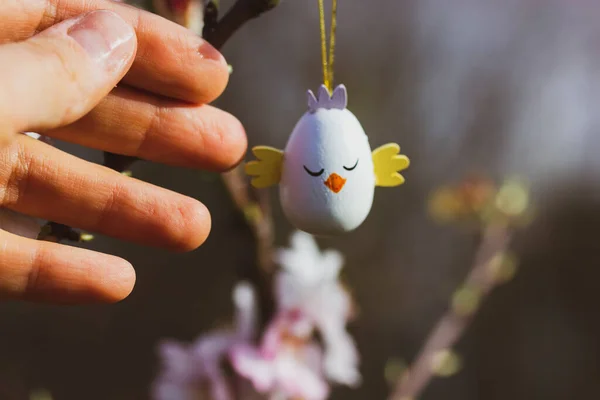 Uovo Pasqua Decorativo Ramo Albero Fiorente Giardino Primavera Mano Umana — Foto Stock