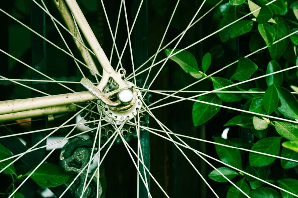 Metallekrar Gammal Vintage Cykel Cykelhjulet Detaljer Mitt Gröna Blad Miljövänligt — Stockfoto