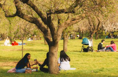 Madrid, İspanya 12 Mart 2023 güneşli bir bahar gününde şehir parkında insanlar yeşil çimlerin üzerinde bahçedeki meyve ağaçlarının arasında piknikte dinleniyorlar.
