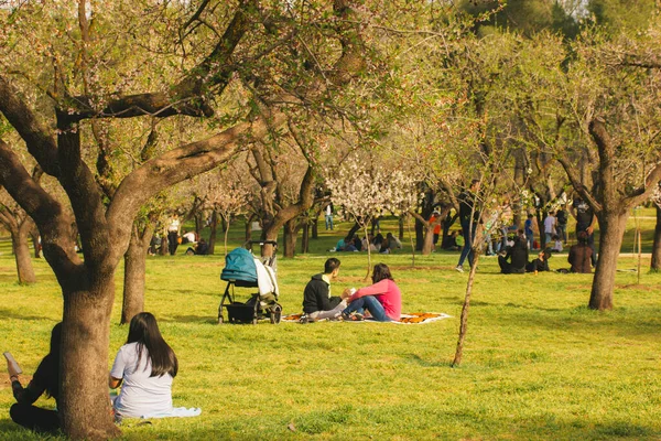 Madrid, İspanya 12 Mart 2023 güneşli bir bahar gününde şehir parkında insanlar yeşil çimlerin üzerinde bahçedeki meyve ağaçlarının arasında piknikte dinleniyorlar.