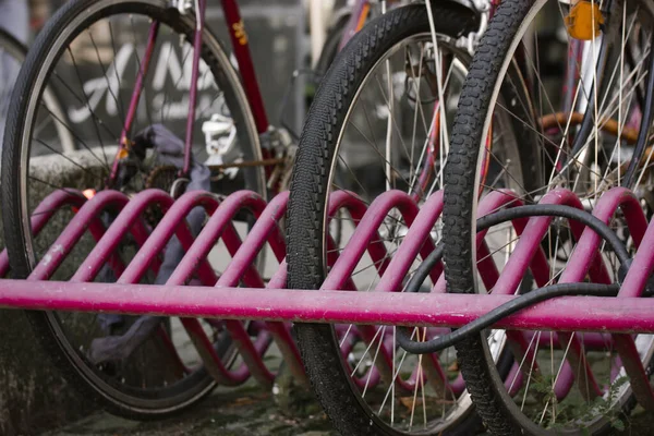 Bicycle rack. Pink bike rack in an urban environment. Reliable place to park Citybike on lock. Eco-friendly transportation. Details of bicycle tires and wheels. Bicycle locked to a metal platform.