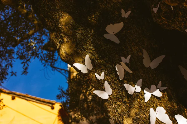 Las Mariposas Decorativas Papel Blanco Decoran Tronco Árbol Viejo Pasatiempo —  Fotos de Stock