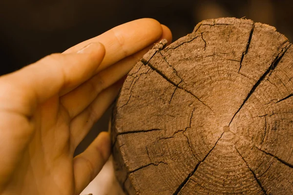 一种木材的选择 一只手摸着圆木圆木 天然建筑材料 一个自然的概念 树干切碎照片与褐色调色特写设计人员选择面料中的疯人院 — 图库照片