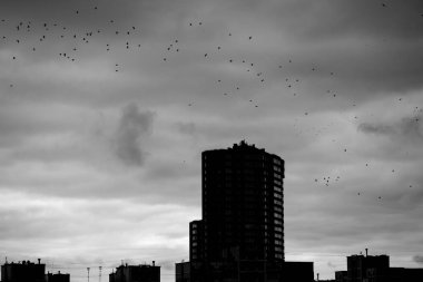 Kasvetli siyah beyaz şehir manzarası. Yüksek binaların çatıları, gökyüzündeki kuş sürüleri. Ukrayna 'nın başkenti Kyiv Rusya savaşı yüzünden karanlığa gömüldü. Şehir manzarası. Depresyon.