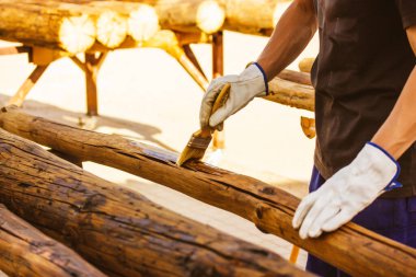 Yüzü olmayan usta bir marangoz, bir yüzeyi böceklerden korumak için tutkalla tedavi ederek ahşapla çalışır. Fırça tutan marangozluk işi. Tahtadan yapılmış ürünler. Ağaç kütükleri. Ahşap boyama, ahşap işçiliği.