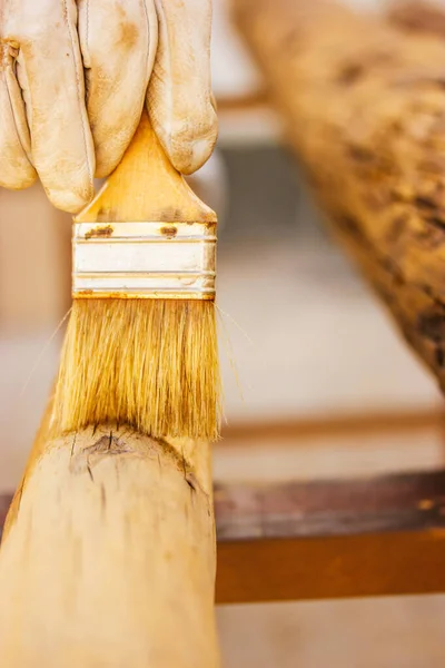 A faceless master carpenter works with wood by treating a surface with glue to protect it from insects. Carpentry work holding a brush. Products made of wood. Logs of trees. Wood staining, woodworking