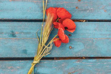 Mavi ahşap üzerinde kırmızı tarla gelincikleri. Çiçeklerin üst manzaralı klasik romantik bir arka plan. Anneler günü için bir hediye, kadınlar gününde bir kız arkadaş. Üzerinde kır çiçekleri olan tebrik kartı. Boşluğu kopyala.