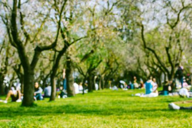 Güneşli bir bahar gününde, yeşil çimenlerin üzerinde çiçek açan meyve ağaçlarının arasında piknikte dinlenen insanların olduğu bir şehir parkı. Meyve bahçesinde eğlence. Bulanık fotoğraf seçici odak.