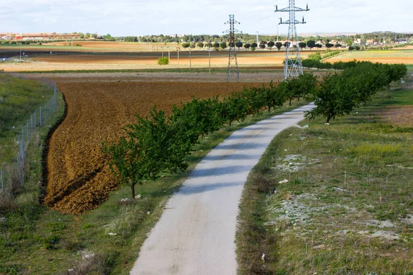 A winding dirt road goes around a bend a view from above. Path through a garden, field, meadow with trees growing at a curb in summer day. A walkway goes over the horizon. Farmland in sunny weather.