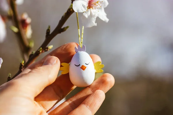Easter egg in a form of a cute chicken hanging on a branch of a flowering tree in a spring garden in sunny day. Easter toy in a hand. Greeting card. Toy wooden decor for springtime religious holiday.