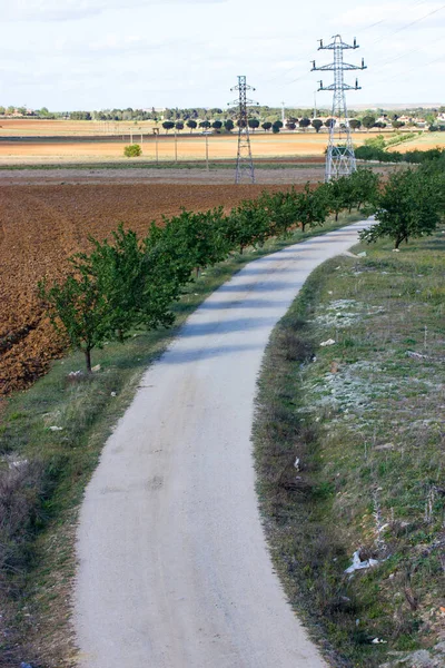A winding dirt road goes around a bend a view from above. Path through a garden, field, meadow with trees growing at a curb in summer day. A walkway goes over the horizon. Farmland in sunny weather.