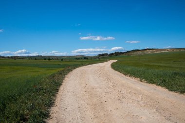 Güzel, güzel, dolambaçlı kır yolu, çakıllı toprak yol ilkbahar çayırında, tarlada bir mesafeye gidiyor. Güzel güneşli hava. Doğal bir manzara. Yeşil çayırlı İspanyol manzarası, mavi bulutlu gökyüzü.