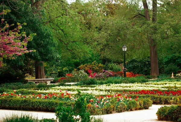 Gyönyörű Botanikus Formális Kert Madridban Park Tavasszal Színes Virágok Virágzik — Stock Fotó