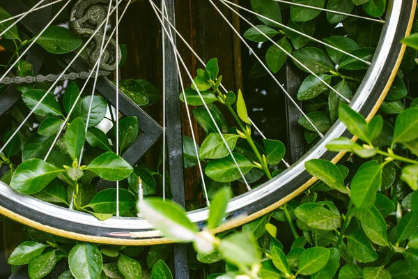 Metallekrar Gammal Vintage Cykel Cykelhjulet Detaljer Mitt Gröna Blad Miljövänligt — Stockfoto