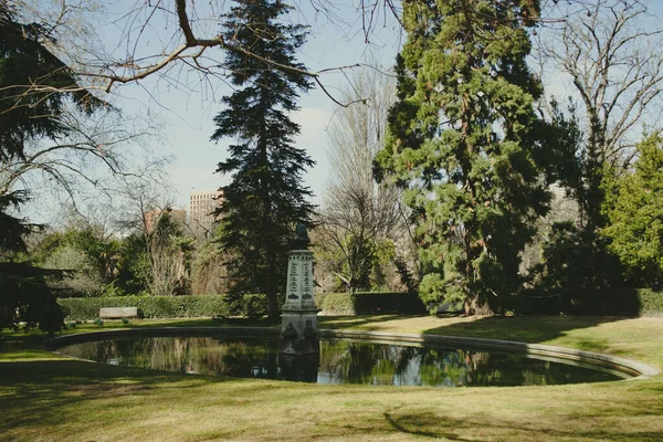 城市公园里的圆形池塘 在高大的松树 松树之间的植物园 夏天的自然风景 没有人的休闲娱乐场所 一张褪色的旧照片的效果 — 图库照片