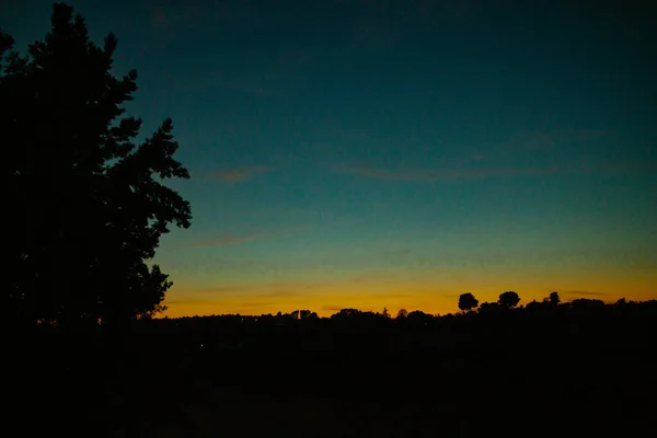 오렌지 밤하늘 배경에는 나무들로 이루어진 실루엣 있습니다 선상에는 가문비나무 소나무 — 스톡 사진