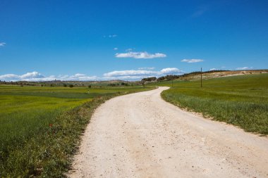 Güzel, güzel, dolambaçlı kır yolu, çakıllı toprak yol ilkbahar çayırında, tarlada bir mesafeye gidiyor. Güzel güneşli hava. Doğal bir manzara. Yeşil çayırlı İspanyol manzarası, mavi bulutlu gökyüzü.
