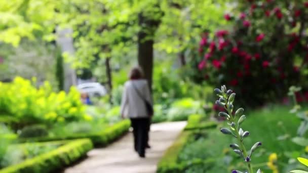 People Strolling City Park Garden Spring Summer Blurred Background Unrecognizable — Stock Video