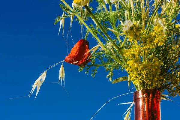 在蓝色天空的映衬下 玻璃杯红色花瓶里盛满了五彩缤纷的野花 时尚静谧的生命与自然的花卉组成 不同的草药在一起 室外的农村植物和花卉 — 图库照片