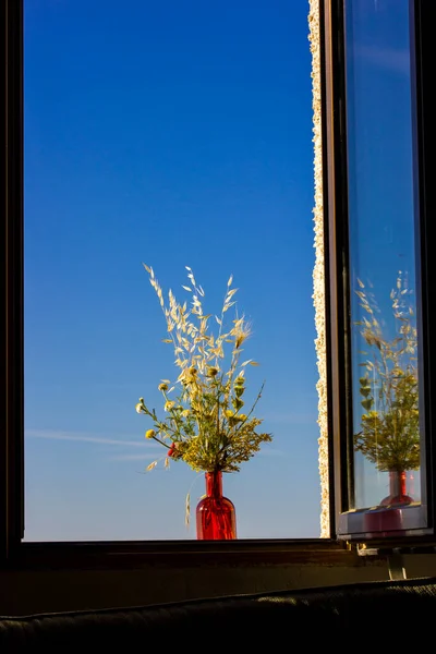 Bukett Ljusa Färgglada Vilda Blommor Glasröd Vas Mot Blå Himmel — Stockfoto