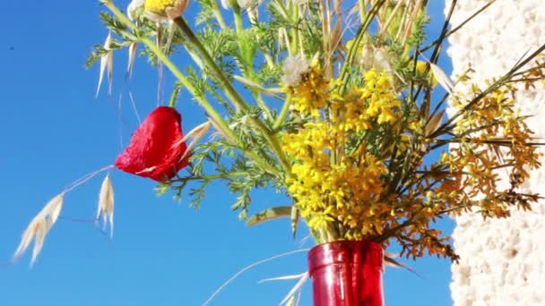 Bukiet Jasnych Kolorowych Dzikich Kwiatów Szklanym Czerwonym Wazonie Przeciwko Błękitnemu — Wideo stockowe