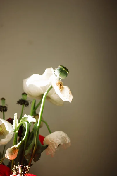 Skleněná Váza Červenobíle Zvadlými Máky Zdi Divoké Květiny Interiéru Venkovského — Stock fotografie